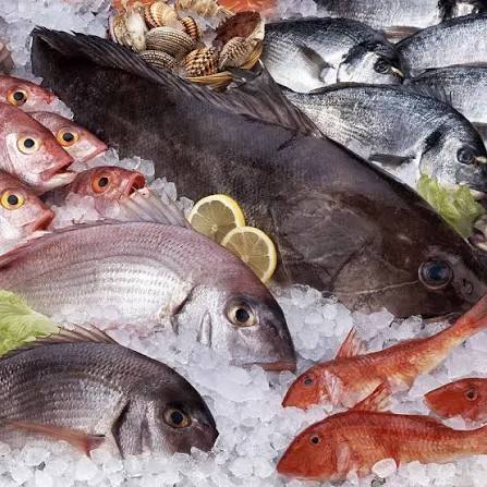 Why Pescatarian? The Health and Heritage of Seafood-Forward Dining