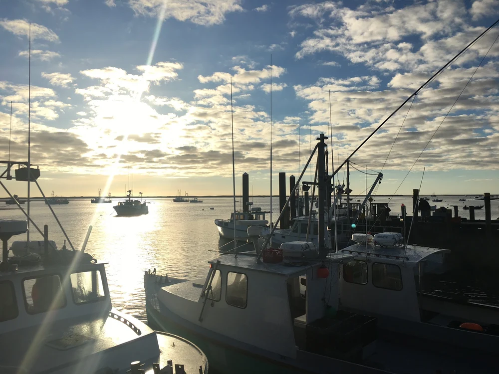 From Sea to Table: How We Source Our Sustainable Seafood